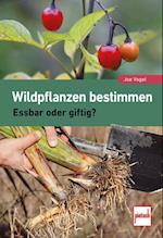 Wildpflanzen bestimmen