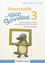 Grammatik mit Rico Schnabel, Klasse 3 - silbierte Ausgabe