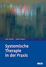 Systemische Therapie in der Praxis