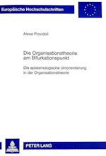 Die Organisationstheorie Am Bifurkationspunkt