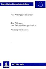 Zur Effizienz Der Selbsthilfeorganisation