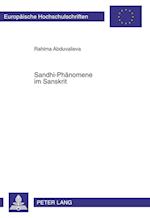 Sandhi-Phaenomene Im Sanskrit