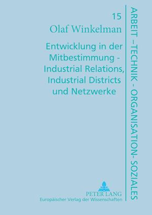 Entwicklung in der Mitbestimmung ¿ Industrial Relations, Industrial Districts und Netzwerke