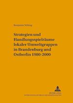 Strategien Und Handlungsspielraeume Lokaler Umweltgruppen in Brandenburg Und Ostberlin 1980-2000