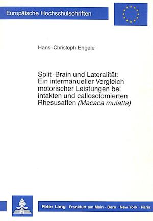 Split-Brain Und Lateralitaet