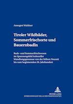 Tiroler Wildbaeder, Sommerfrischorte Und Bauernbadln