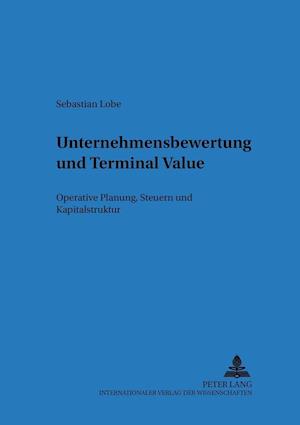 Unternehmensbewertung Und Terminal Value