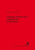 Language Attitudes and Language Use in Pitmedden (Aberdeenshire)