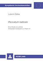 "peccatum Radicale"