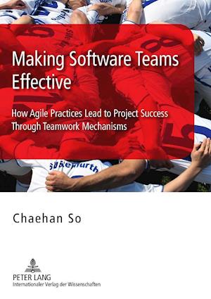 Making Software Teams Effective