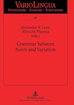 Grammar between Norm and Variation