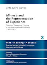 «Mimesis» and the Representation of Experience