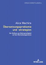 Übersetzungsprobleme und -strategien