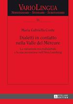 Dialetti in contatto nella Valle del Mércure; La variazione microdialettale e la sua percezione nell'Area Lausberg