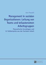 Management in Sozialen Organisationen: Leitung Von Teams Und Teilautonomen Arbeitsgruppen