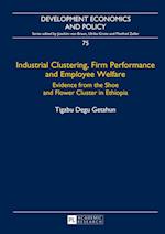 Industrial Clustering, Firm Performance and Employee Welfare
