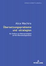 Uebersetzungsprobleme und -strategien