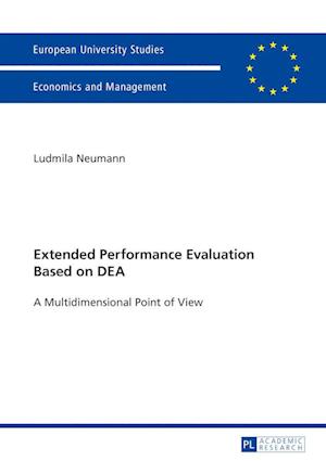 Extended Performance Evaluation Based on DEA