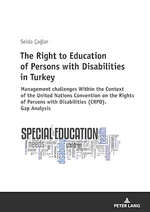 The Right to Education of Persons with Disabilities in Turkey