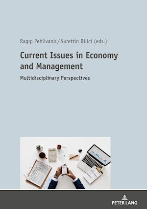 Current Issues in Economy and Management : Multidisciplinary Perspectives