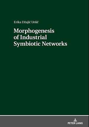 Morphogenesis of Industrial Symbiotic Networks