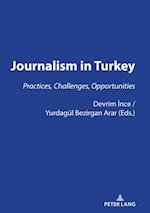 JOURNALISM IN TURKEY:
