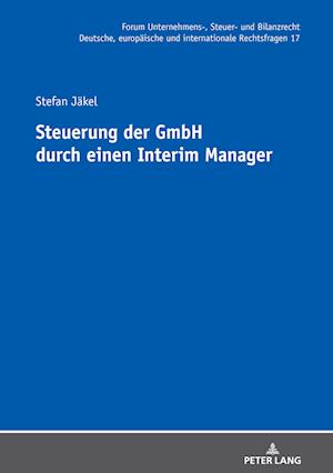 Steuerung Der Gmbh Durch Einen Interim Manager