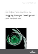 Mapping Manager Development