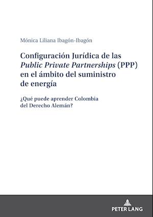 Configuración Jurídica de las Public Private Partnerships (PPP) en el ámbito del suministro de energía