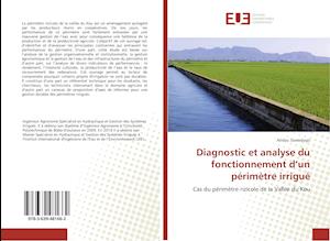 Diagnostic et analyse du fonctionnement d'un périmètre irrigué