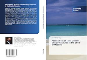 Assessment of Tidal-Current Energy Resource in the Strait of Messina