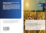 Evaluations of Barley Genotypes for Irrigation and Drought Resistance