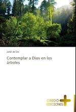 Contemplar a Dios En Los Arboles