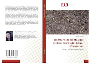 Transfert sol-plantes des métaux lourds des boues d'épuration