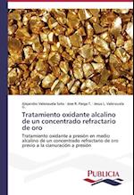 Tratamiento oxidante alcalino de un concentrado refractario de oro