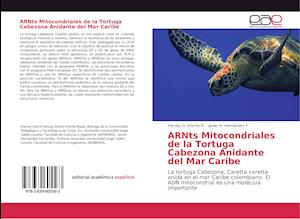 ARNts Mitocondriales de la Tortuga Cabezona Anidante del Mar Caribe