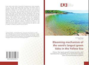 Blooming mechanism of the word's largest green tides in the Yellow Sea