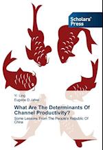 What Are the Determinants of Channel Productivity?