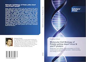 Molecular Cell Biology of Potato yellow dwarf virus N and P protein