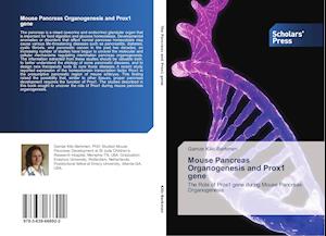 Mouse Pancreas Organogenesis and Prox1 gene