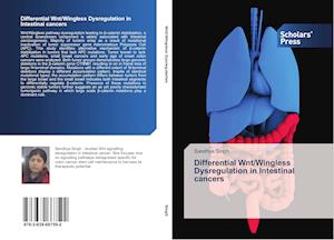 Differential Wnt/Wingless Dysregulation in Intestinal cancers