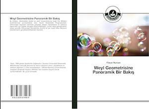 Weyl Geometrisine Panoramik Bir Bakis