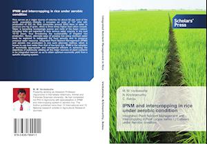 IPNM and intercropping in rice under aerobic condition