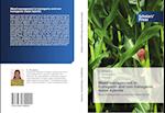 Weed management in transgenic and non transgenic maize hybrids 