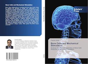 Bone Cells and Mechanical Stimulation