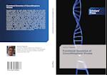 Functional Genomics of Coccolithophore Viruses