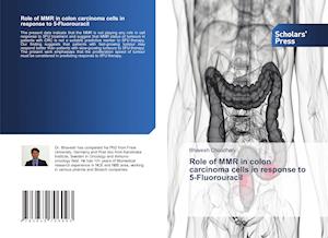 Role of MMR in colon carcinoma cells in response to 5-Fluorouracil