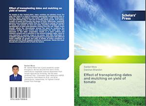 Effect of transplanting dates and mulching on  yield of tomato