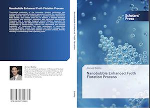 Nanobubble Enhanced Froth Flotation Process