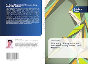 The Study of Magnetization Processes Using Monte Carlo Methods